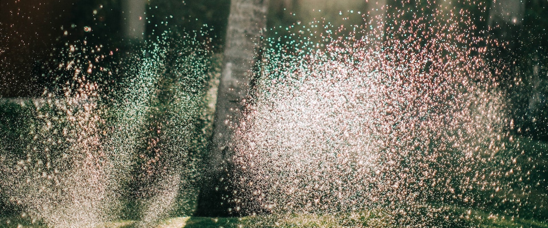 How Can A Lawn Sprinkler System Contractor In Omaha, NE Help Homeowners With Their Home Inspection Needs?