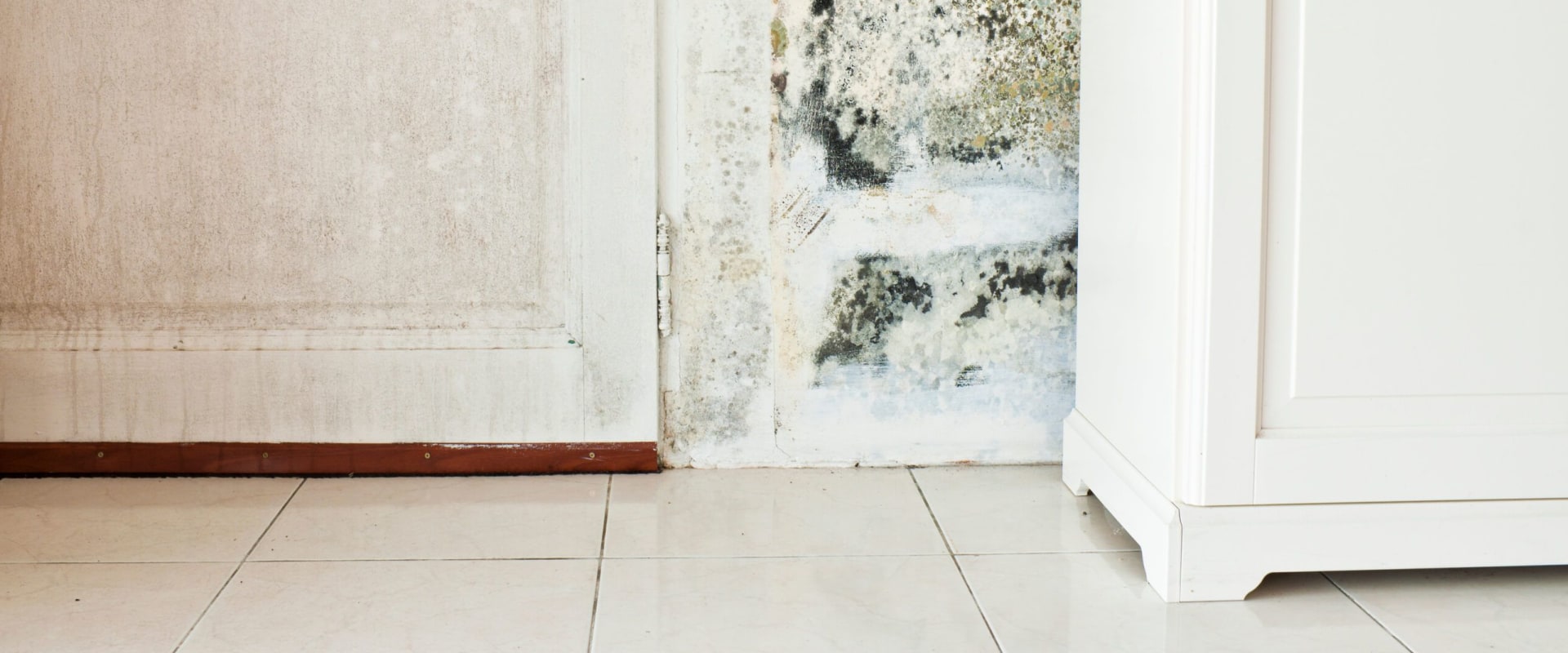 What do you do if you test positive for mold?