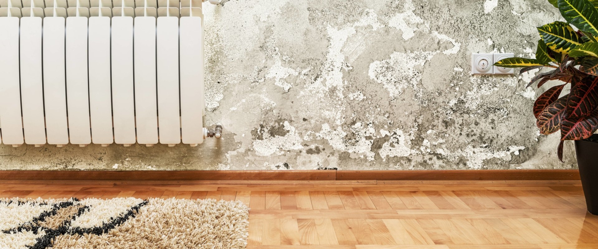 Does mold affect appraisal?
