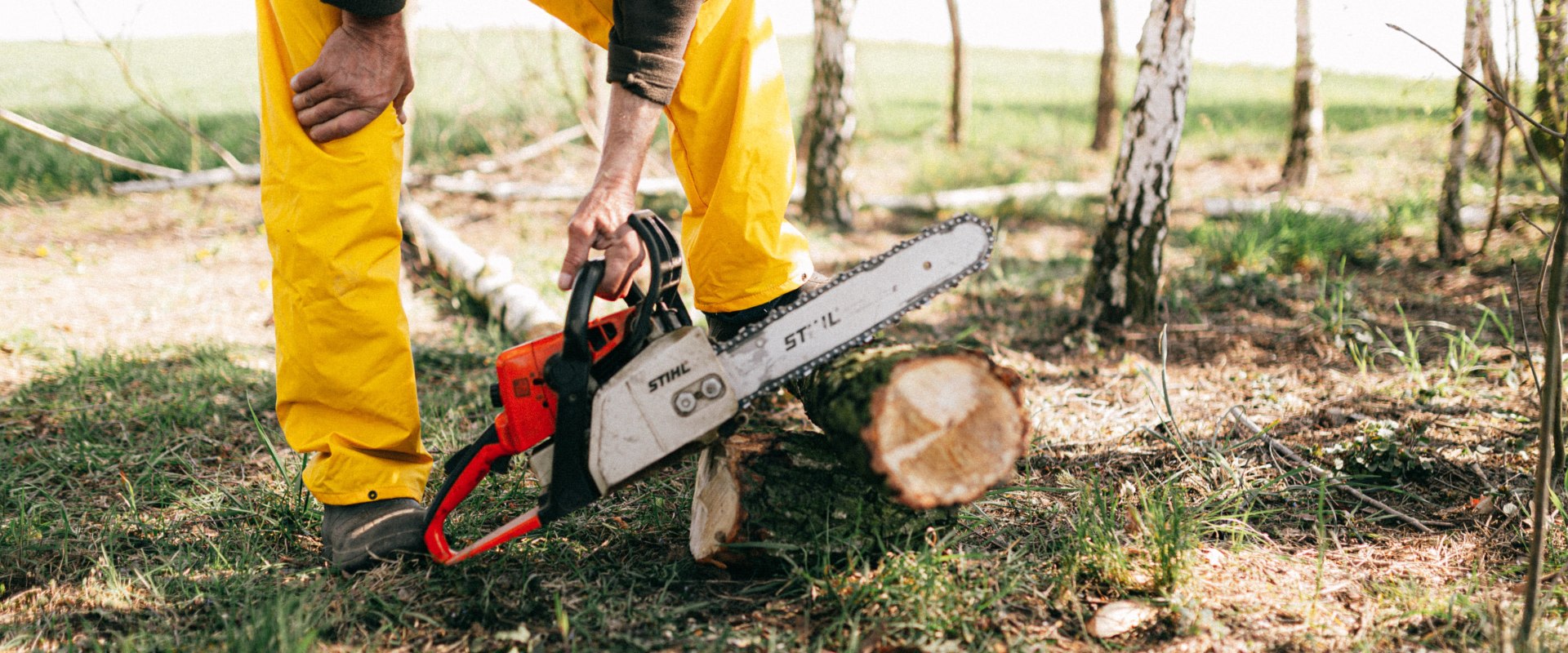 The Hidden Dangers: Why Home Inspections Should Include Stump Grinding In Bethany, Oklahoma