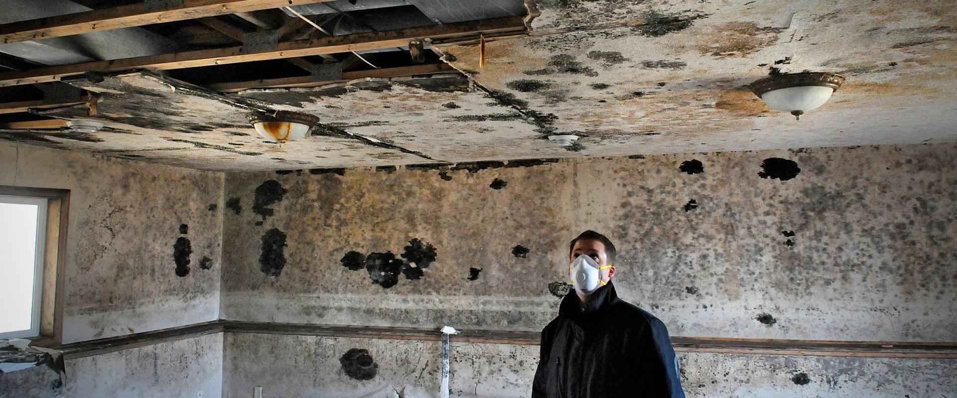 Does mold affect home value?