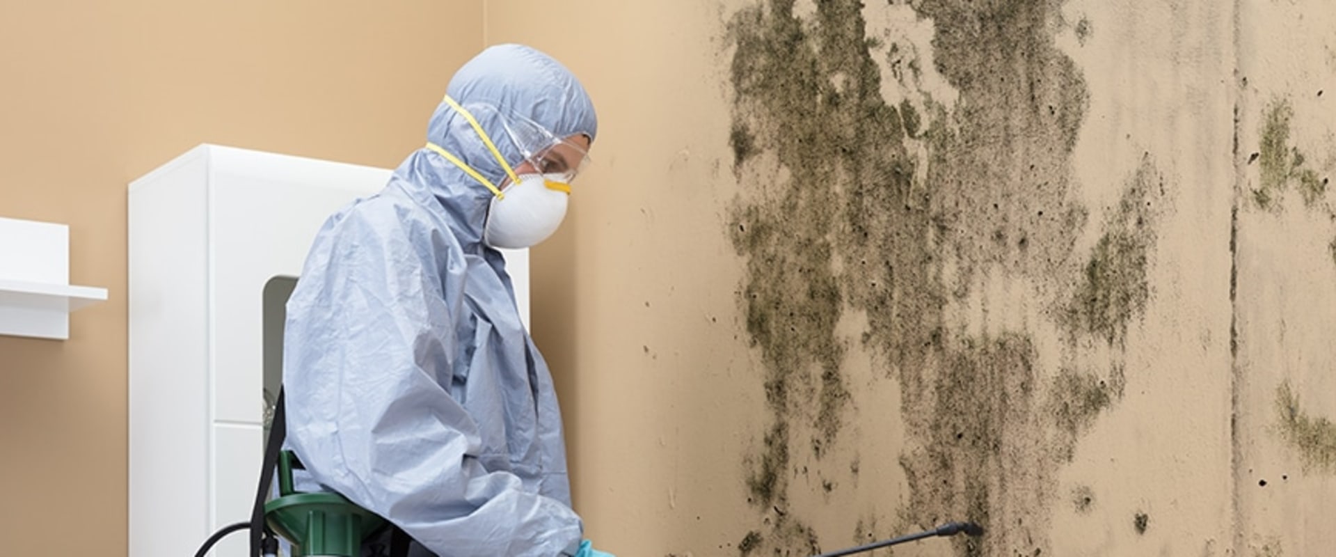 Why Mold Remediation Is Critical During Home Inspections In Central Illinois