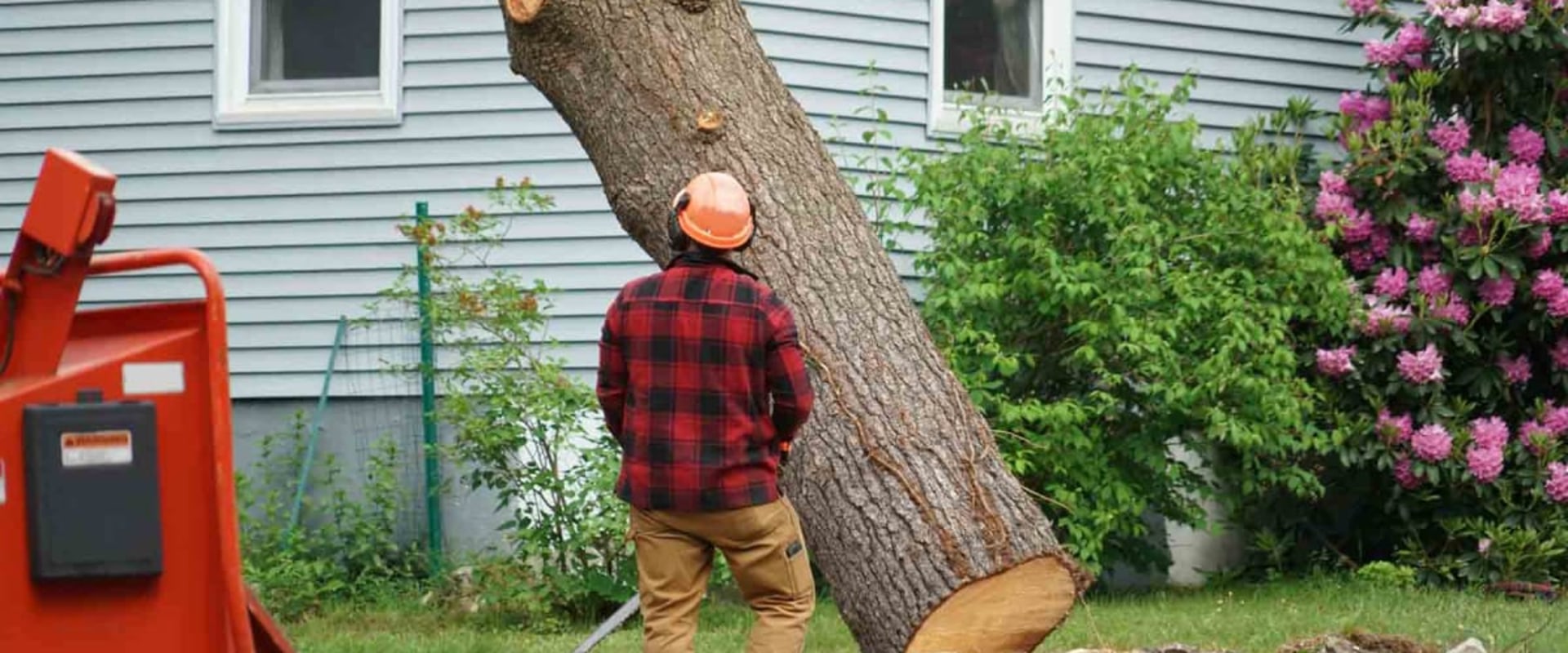 The Ultimate Guide To Stump Removal In Scottsdale, AZ: Why it's Essential For Home Inspections