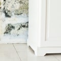 What do you do if you test positive for mold?