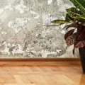 Does mold affect appraisal?