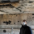 Does mold affect home value?