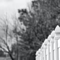 Ur Property: How A Fence Company Can Help With Home Inspections In Cape Coral, Florida
