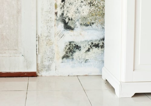 What do you do if you test positive for mold?