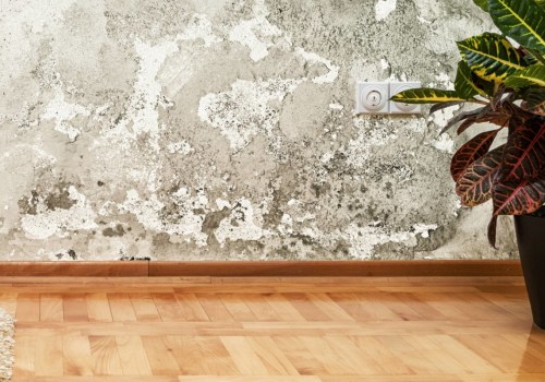 Does mold affect appraisal?