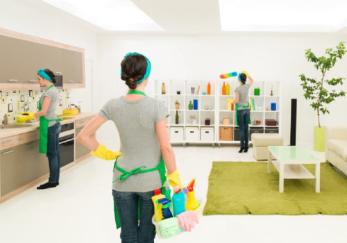 Integrating House Cleaning Services With Home Inspection In Castle Rock, CO