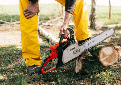 The Hidden Dangers: Why Home Inspections Should Include Stump Grinding In Bethany, Oklahoma