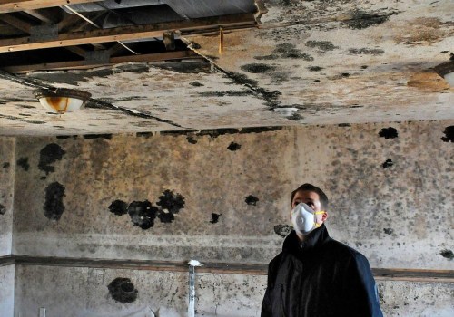 Does mold affect home value?