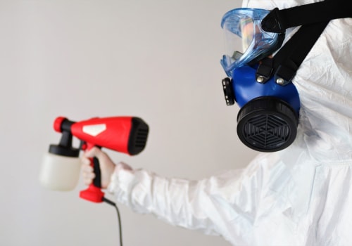 Mold Inspection In Destin And Mold Removal Services: Unveiling Hidden Threats During Home Inspections