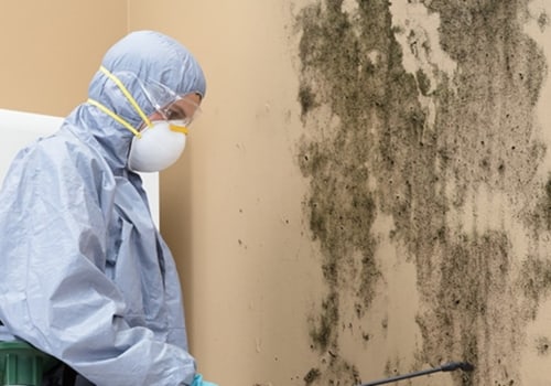 Why Mold Remediation Is Critical During Home Inspections In Central Illinois