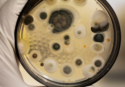 Is mold testing reliable?