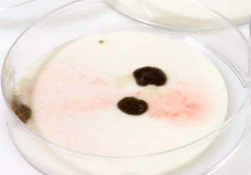 Can you test for mold if you can't see it?